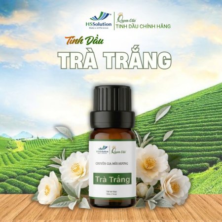 🌿 TINH DẦU TRÀ TRẮNG✨ HƯƠNG THƠM THANH LỊCH – TINH TẾ – SANG TRỌNG