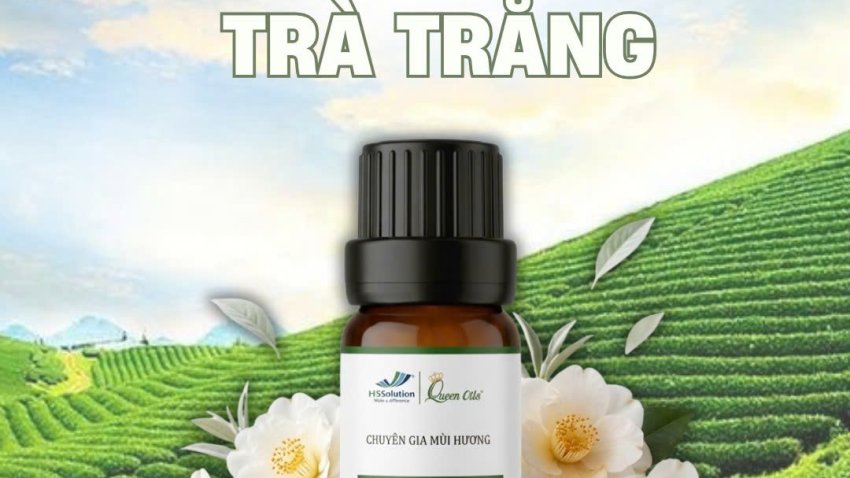 🌿 TINH DẦU TRÀ TRẮNG✨ HƯƠNG THƠM THANH LỊCH – TINH TẾ – SANG TRỌNG