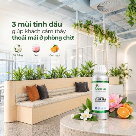 3 mùi tinh dầu giúp khách cảm thấy thoải mái ở phòng chờ!